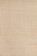 Pale Yellow Sport Jacket
