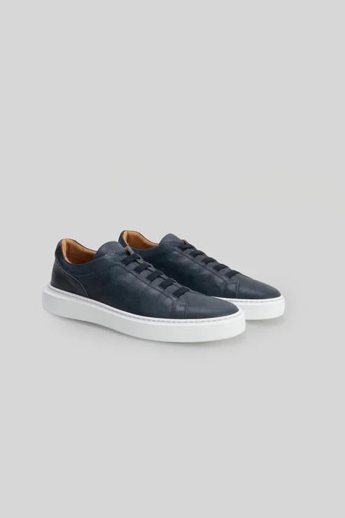 Williams St Lace Blue Sneaker